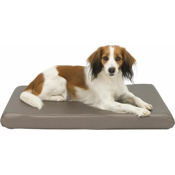 Trixie 28450 Mat Sansa, 65 x 40 cm, taupe métallisé