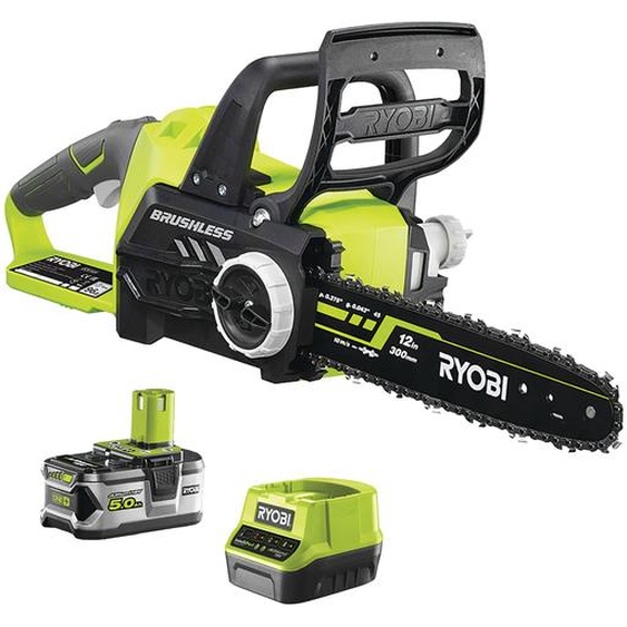 Tronçonneuse Brushless 18V ONE+™ (1 x 5,0 Ah)