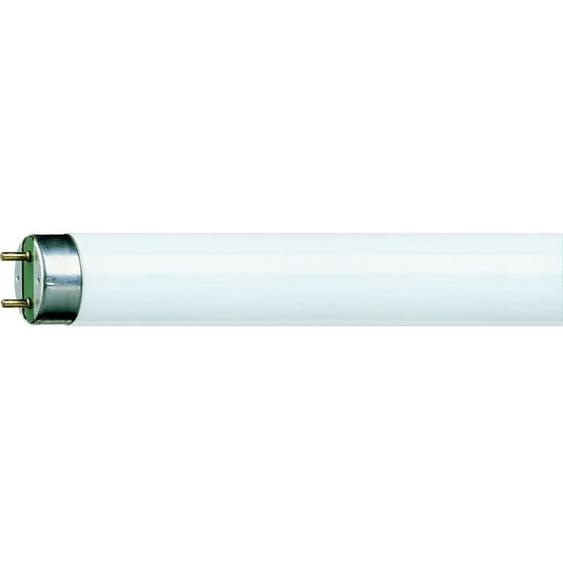 Tube fluorescent - PHILIPS - MASTER TL-D Super 80 36W/840 - Blanc - Intérieur - 30000 heures