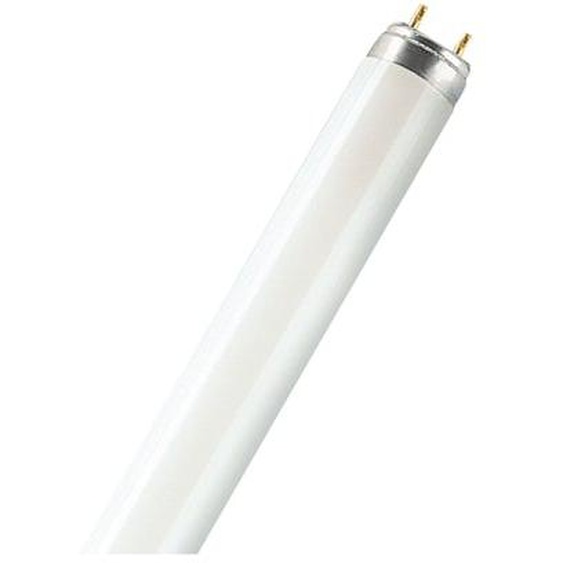 Tube fluorescent T8 30W.2