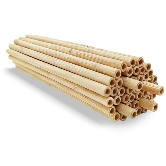 Tuyaux en bambou pour hôtel à insectes, 44 pièces, longueur de 10 cm