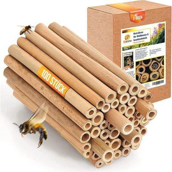 Unyqoos® : pailles en bambou pour hôtels à insectes, 14 cm, 100 pièces – résistantes aux intempéries, sans bords tranchants, matériau de remplissage pour les abeilles sauvages