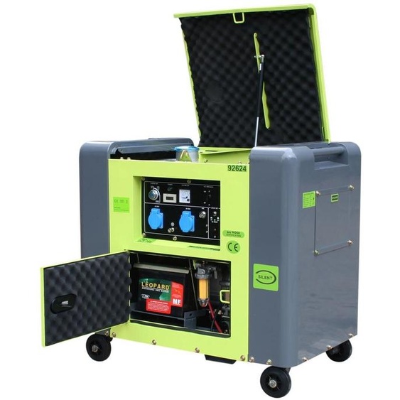 Varan Motors - 92624 Générateur électrique Diesel insonorisé Type Panda Groupe électrogène 5.5kW 230V