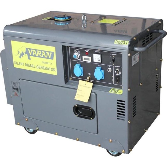 Varan Motors - 92631 Groupe électrogène Diesel SILENCIEUX 5.5 KW 230V + 12V
