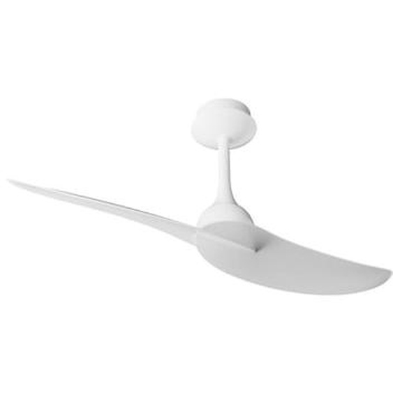Ventilateur de plafond IPANEMA II, 106 cm