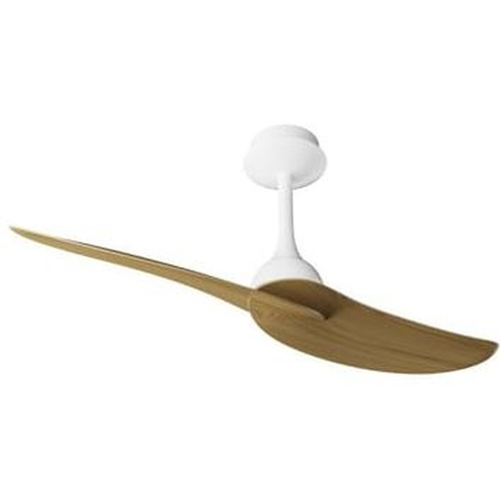 Ventilateur de plafond IPANEMA II, 106 cm