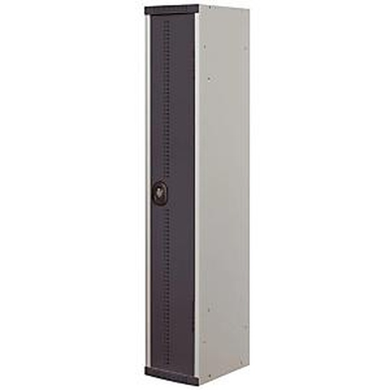 Vestiaire métal Team Color industrie propre - 1 colonne L.30 cm - Corps Gris - Porte Anthracite