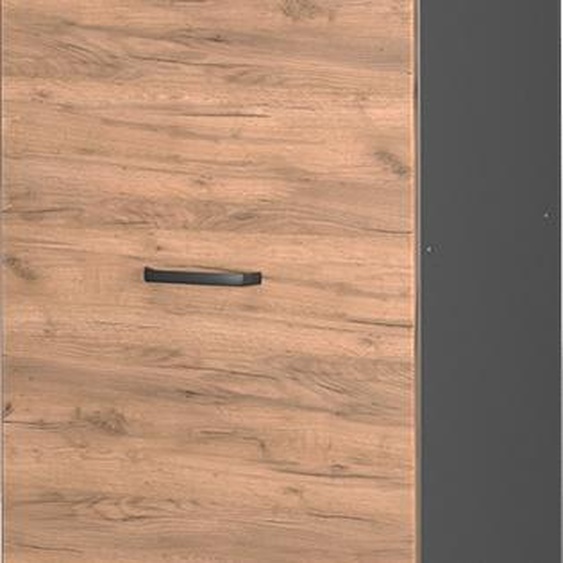 Armoire haute Vicco R-Line Chêne de force doré 60cm, Model 37848