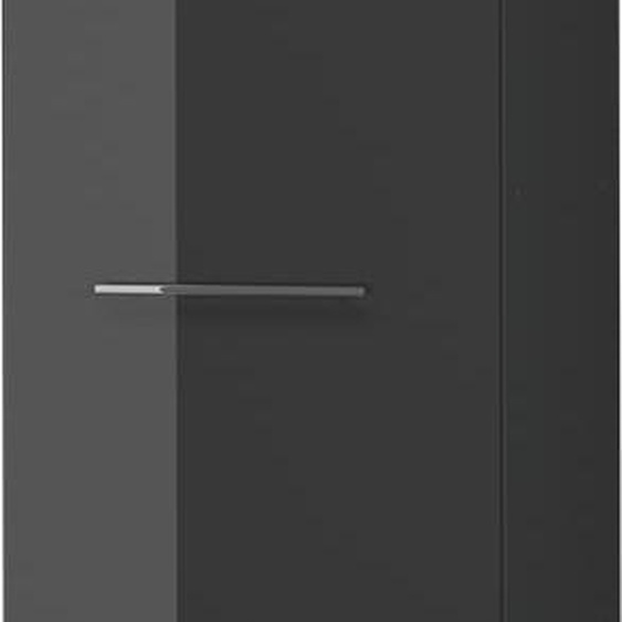 Vicco Armoire micro-ondes Fame-Line, 60cm, Anthracite Haute brillance/Anthracite