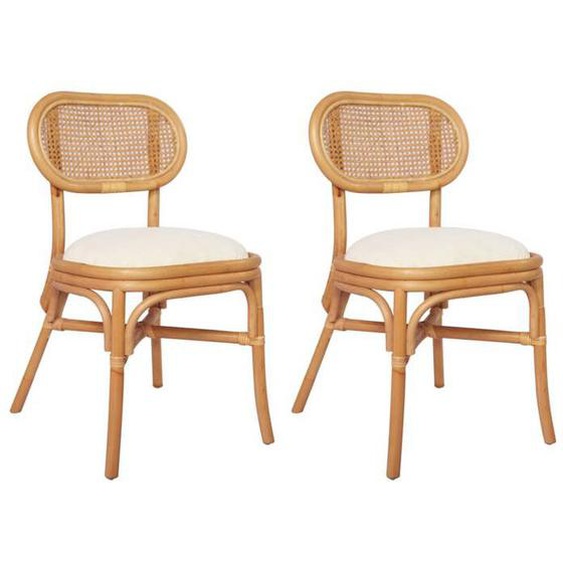 vidaXL 2x Chaises de Salle à Manger Chaises de Repas Chaises à Dîner Chaises de Cuisine Meubles de Cuisine Sièges de Repas 325478