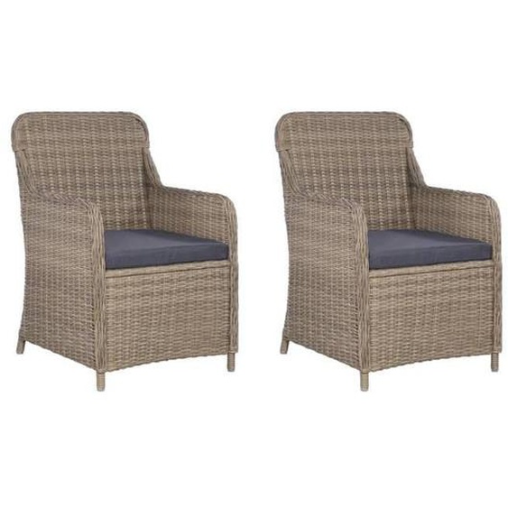 vidaXL 2x Fauteuil Résine Tressée Marron et Gris Chaise de Jardin Meuble 44147