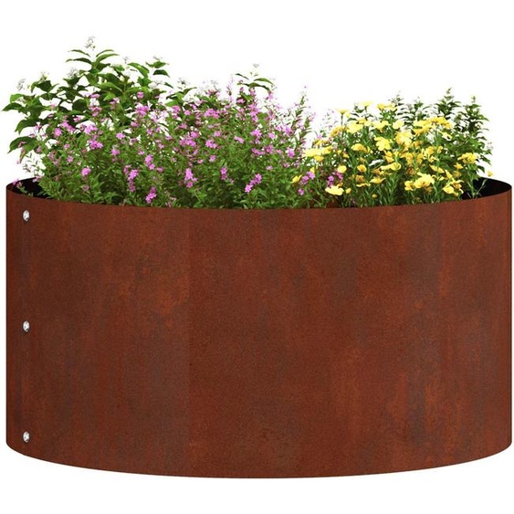 vidaXL Anneau pour plantes 5 pcs Marron 40 x 40 x 20 cm Acier résistant aux intempéries