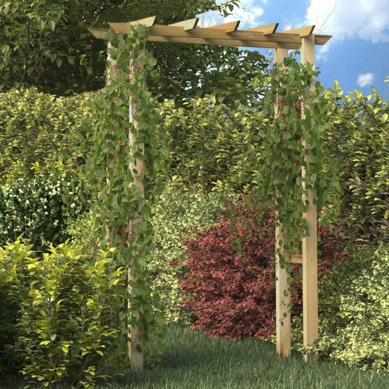 Vidaxl - Arche pour rosiers 150 x 60 x 204 cm bois imprégné
