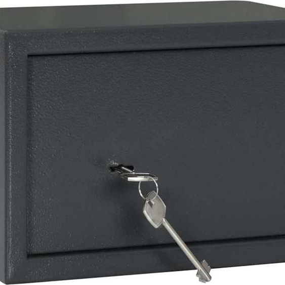 vidaXL Boîte de sécurité avec serrure gris foncé 31 x 20 x 20 cm acier