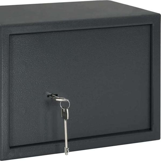vidaXL Boîte de sécurité avec serrure gris foncé 35 x 25 x 25 cm acier