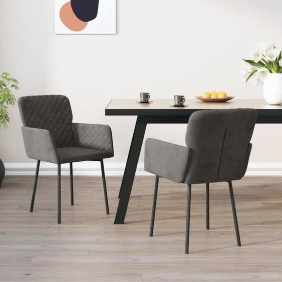 vidaXL 2x Chaises de Salle à Manger Fauteuils à Dîner Chaises de Cuisine Sièges à Dîner Chaises de Repas Restaurant 344780
