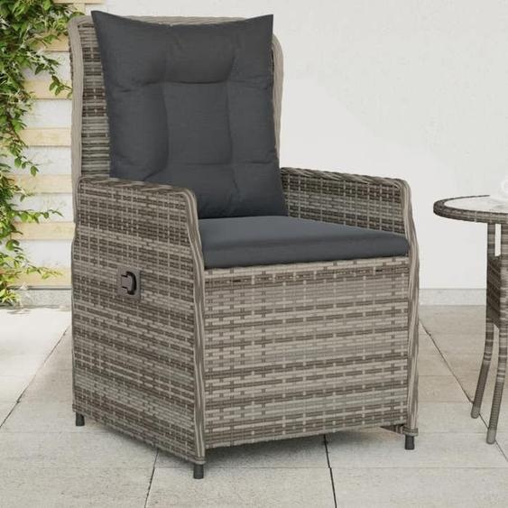 vidaXL Chaises inclinables de jardin lot de 2 gris résine tressée fauteuil de jardin inclinable fauteuil inclinable de 368654