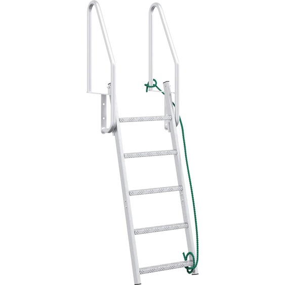 vidaXL Échelle à 5 marches argentée 58 x 77 x 191 cm Aluminium