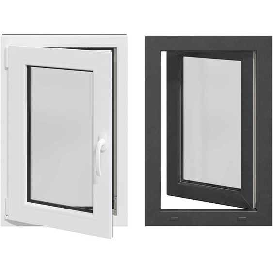 vidaXL Fenêtre de cave RISOR 60 x 100 cm PVC et verre, anthracite