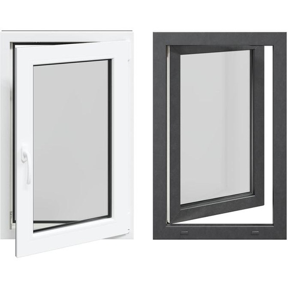 vidaXL Fenêtre de cave RISOR 60 x 100 cm PVC et verre, anthracite