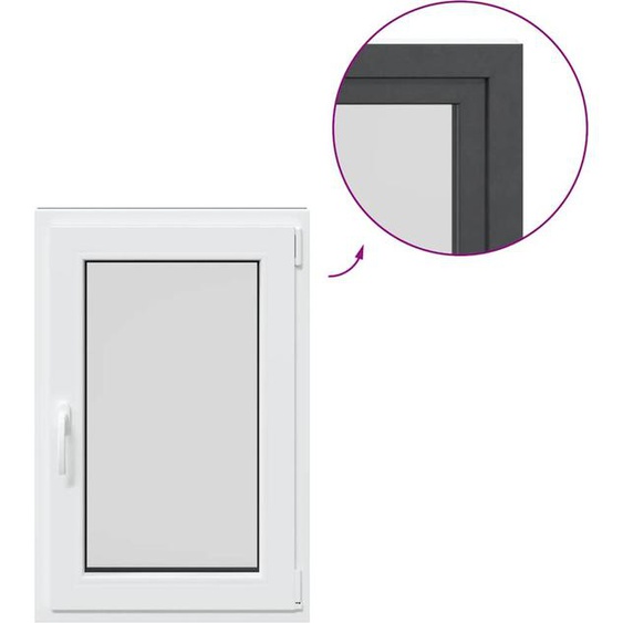 vidaXL Fenêtre de cave RISOR 60x100 cm oscillo-battante DIN droite Anthracite