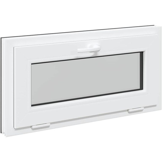 vidaXL Fenêtre de cave RISOR 80 x 40 cm PVC et verre, anthracite