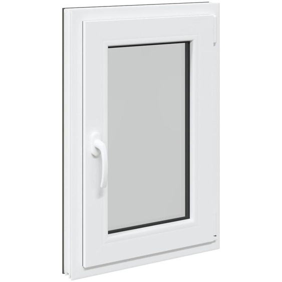 vidaXL Fenêtre de cave RISOR 50 x 75 cm PVC et verre, anthracite