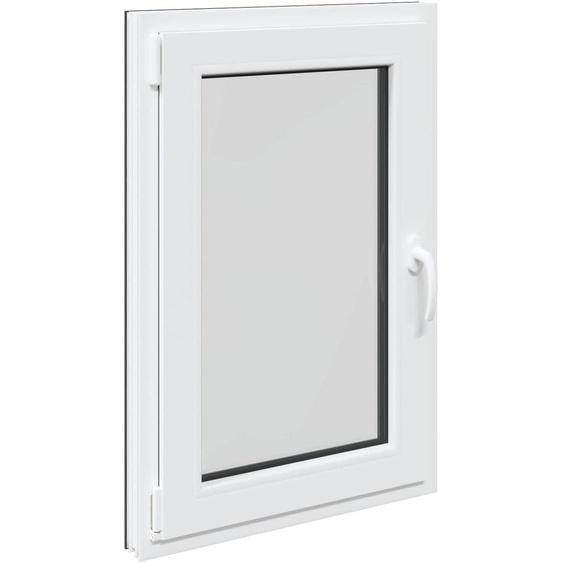 vidaXL Fenêtre de cave RISOR 60 x 100 cm PVC et verre, anthracite