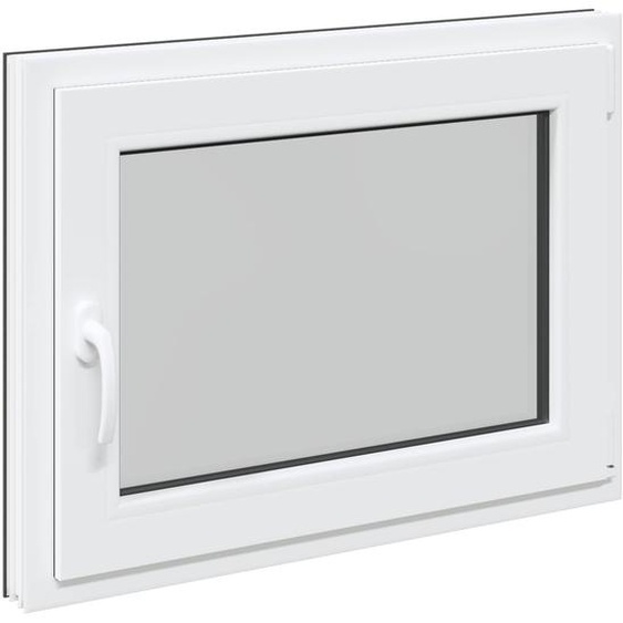 vidaXL Fenêtre de cave RISOR 60 x 100 cm PVC et verre, anthracite