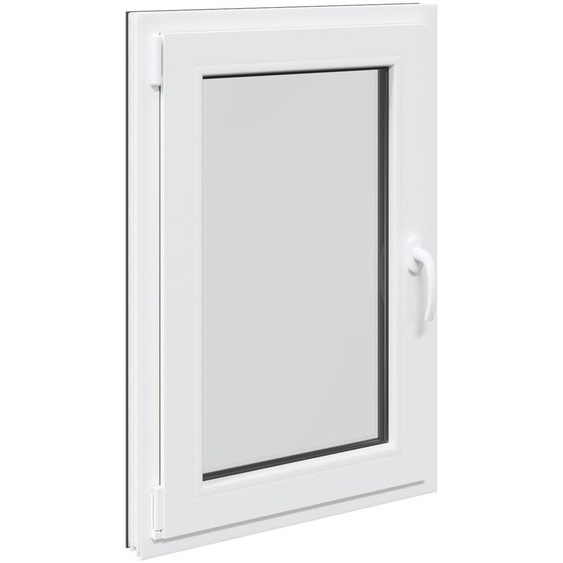 vidaXL Fenêtre de cave RISOR 60 x 100 cm PVC et verre, anthracite