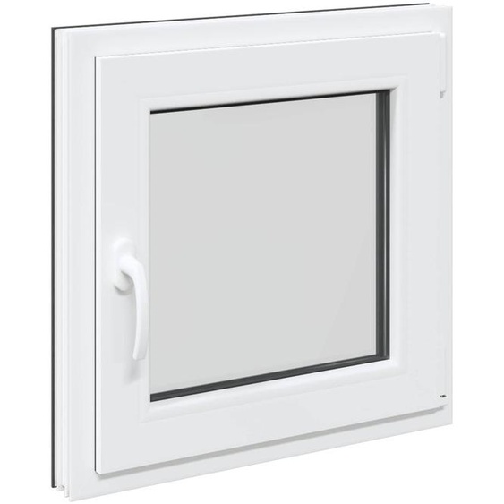 vidaXL Fenêtre de cave RISOR 60 x 60 cm PVC et verre, anthracite