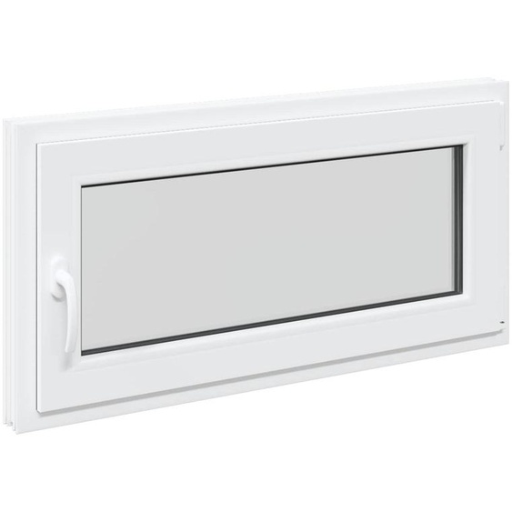 vidaXL Fenêtre de cave RISOR 100 x 50 cm PVC et verre, blanc