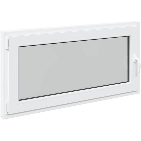 vidaXL Fenêtre de cave RISOR 120 x 60 cm PVC et verre, blanc