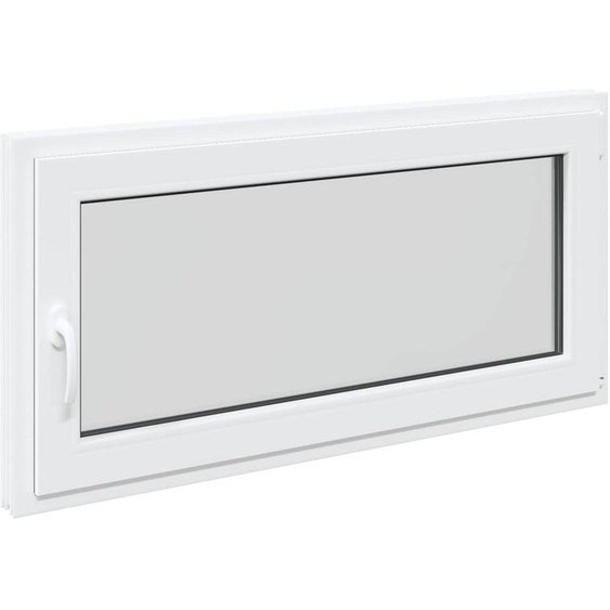 vidaXL Fenêtre de cave RISOR 120 x 60 cm PVC et verre, blanc