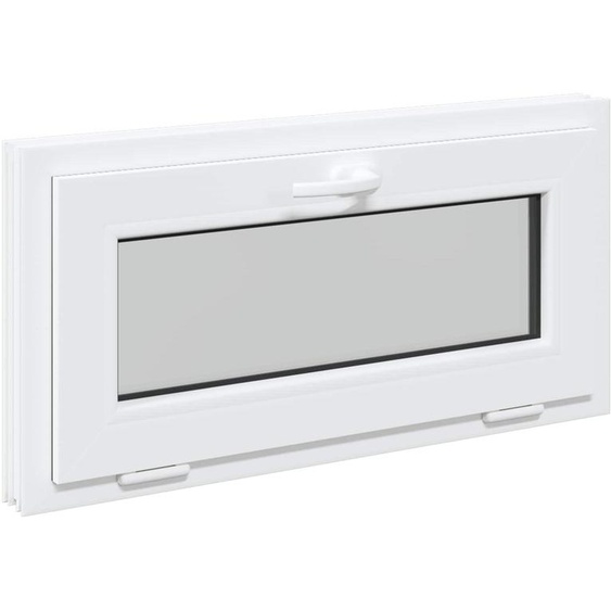 vidaXL Fenêtre pour cave RISOR, 80 x 40 cm, PVC et verre