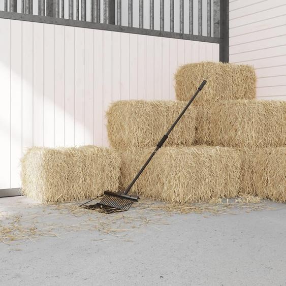 vidaXL Fourche à foin avec 18 dents noir acier