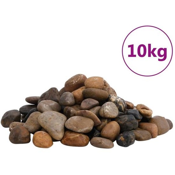 vidaXL Galets polis 10 kg Multicolore 2-5 cm