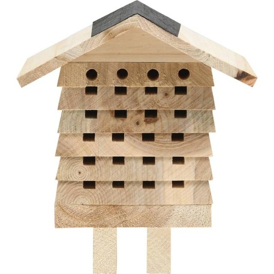 vidaXL Hôtel pour abeilles sapin massif 22x20x20 cm