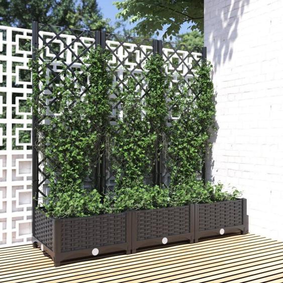 Vidaxl - Jardinière avec treillis Noir 120x40x121,5 cm pp