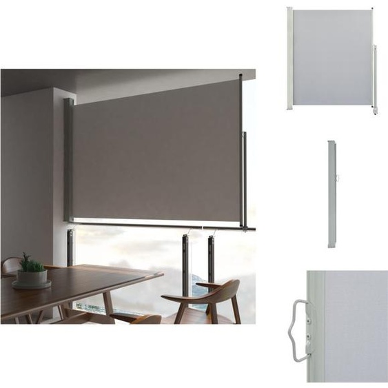 vidaXL Marquise latérale rétractable 160x300 cm Gris - Parasols & Protection solaire