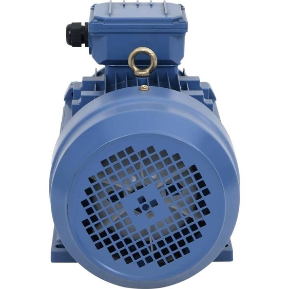 vidaXL Moteur électrique triphasé en aluminium 3 kW 4 CV 2 pôles 2840 tr/min