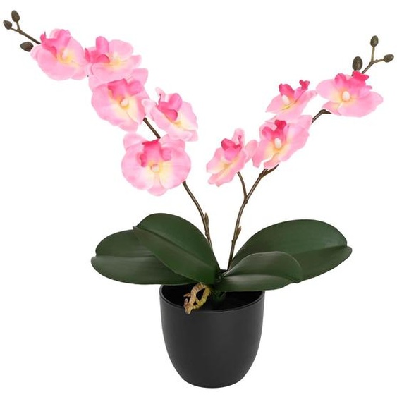 vidaXL Plante artificielle dorchidées rose 36 x 10 x 30 cm