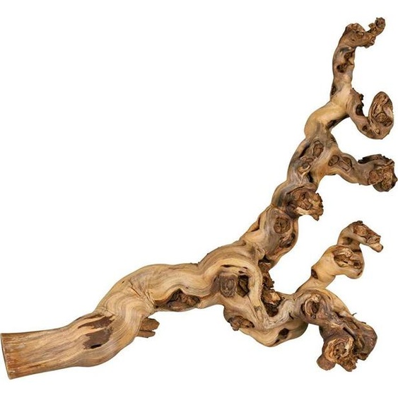 Trixie Décoration naturelle pour terrarium, branche de vigne XL 55-80cm
