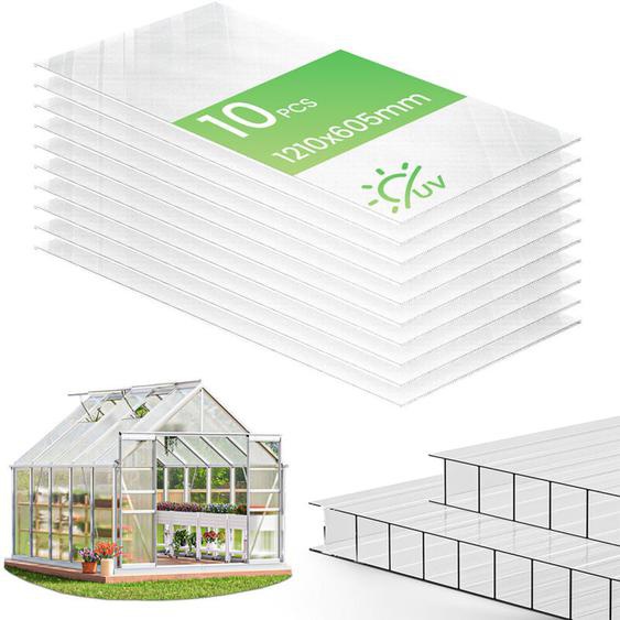 Vounot - 10 Plaques en polycarbonate alvéolaire 6 mm - double paroi creuse - transparent 121 x 60,5 cm - pour serre