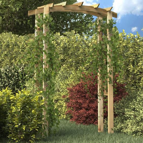 Vidaxl - Voûte en treillis 150x60x210 cm Bois