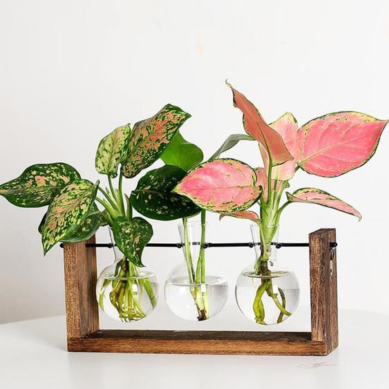 Vvikizy vase suspendu mural Vase hydroponique mural, plante verte, cadre en bois, pour décoration de salon et de maison deco table