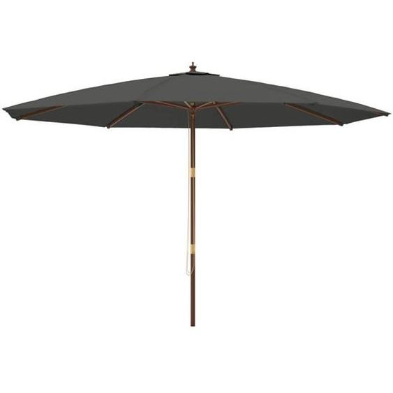 Winter Sale Parasol avec mât en bois Anthracite 400x273 cm - Parasols - clorisNeu1912875