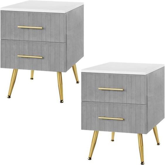 WOLTU Lot de 2 Table de Chevet, Livré monté, Commode de Rangement avec 2 Tiroirs en Velours, 40x41x52.50cm, Gris W0ETT0071-2