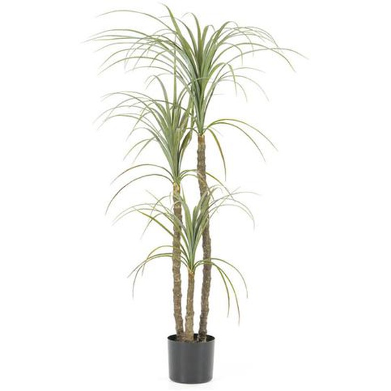 Yucca - Plante artificielle H122cm - Couleur - Vert