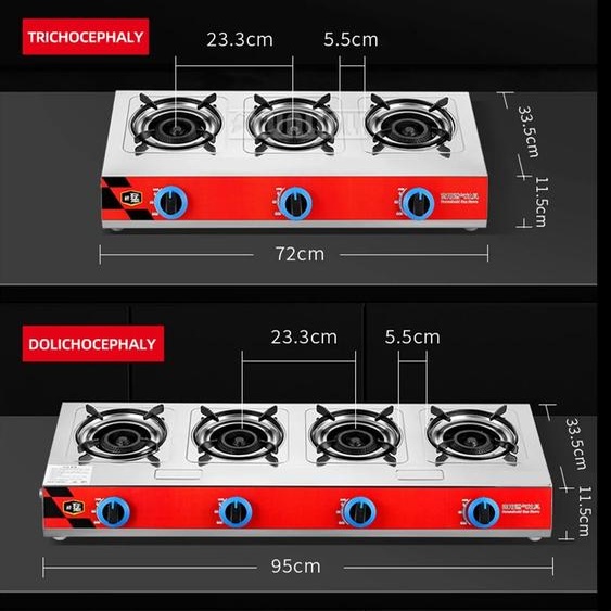 YunlinLi Plaque de cuisson multi-brûleurs pour cuisinière à gaz, bureau, commercial